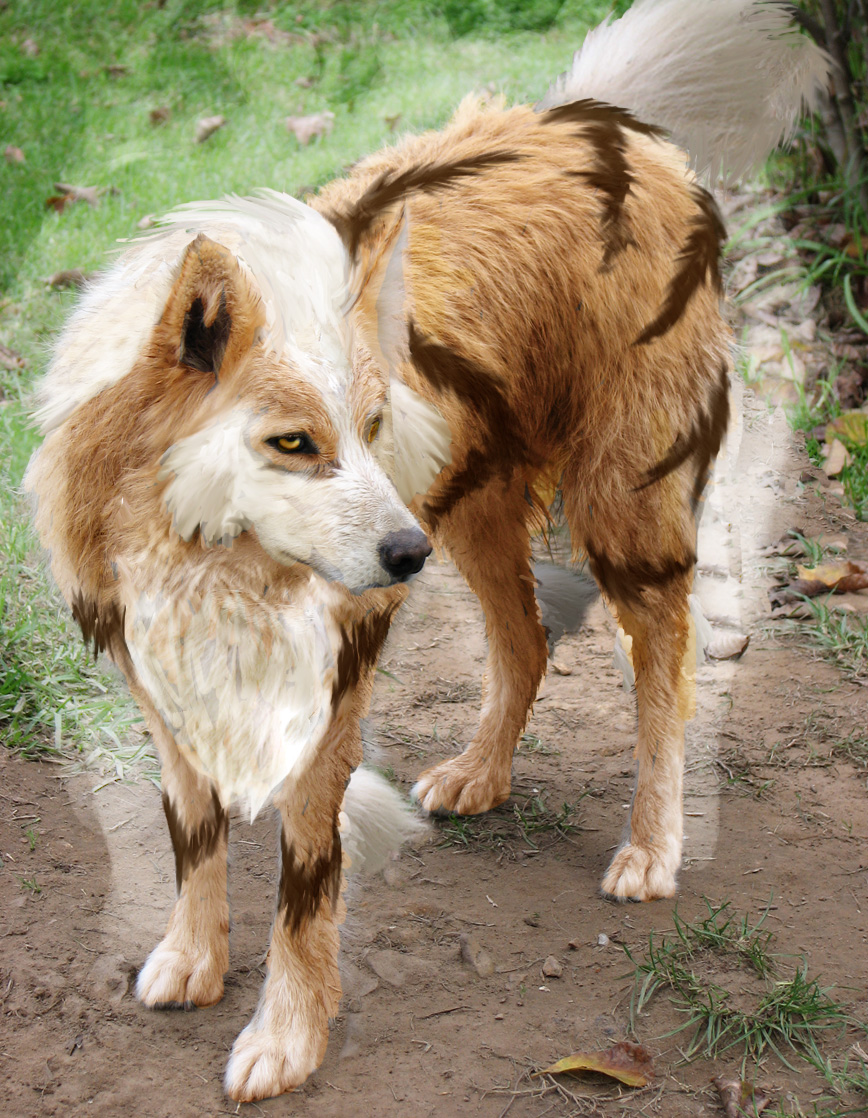 Realistic Arcanine