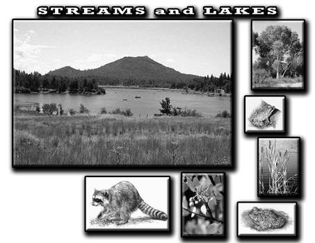 StreamLakes ecosystems