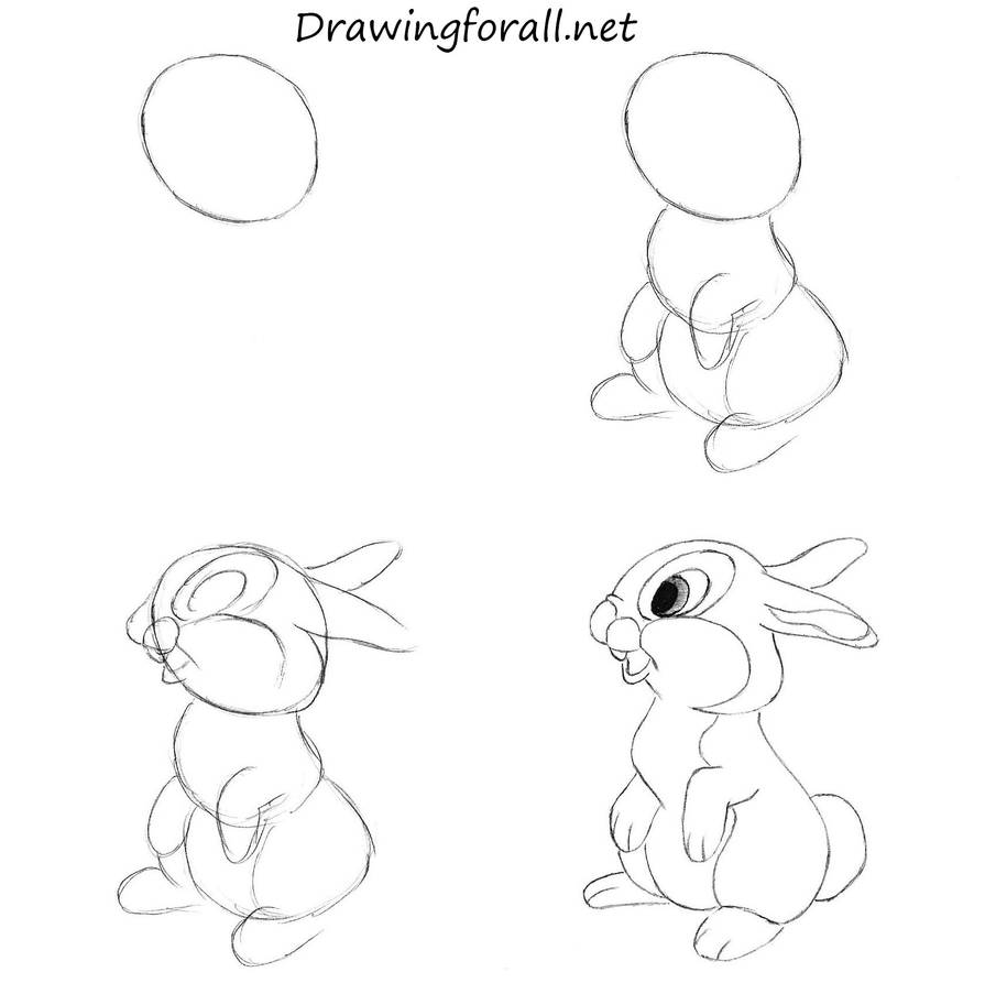 How to Draw a Rabbit by SteveLegrand on DeviantArt