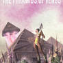 The Pyramids of Venus