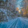 First snow fall on the driveway