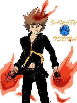 Sawada Tsuna color