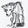 Wolf : rough