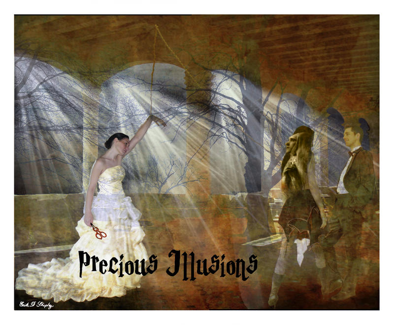 Precious Illusions