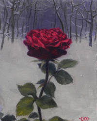 Winter Rose