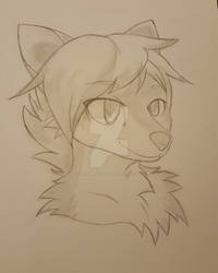 My first furry drawing.