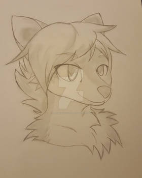 My first furry drawing.