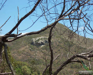 Cape HillsBorough Mountain 2