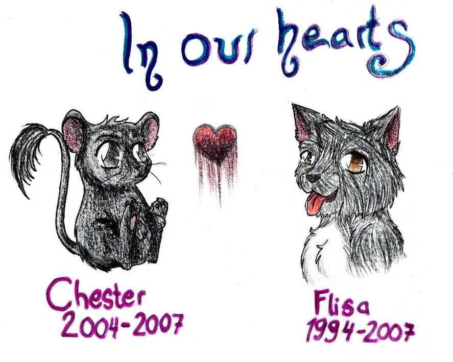 R.I.P Chester And Flisa