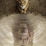 Mufasa: The Lion King (Taka/Scar Poster)