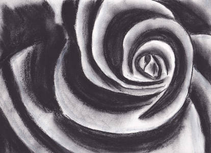 Charcoal Rose