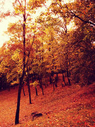 autumn in Latvia by bedstraw