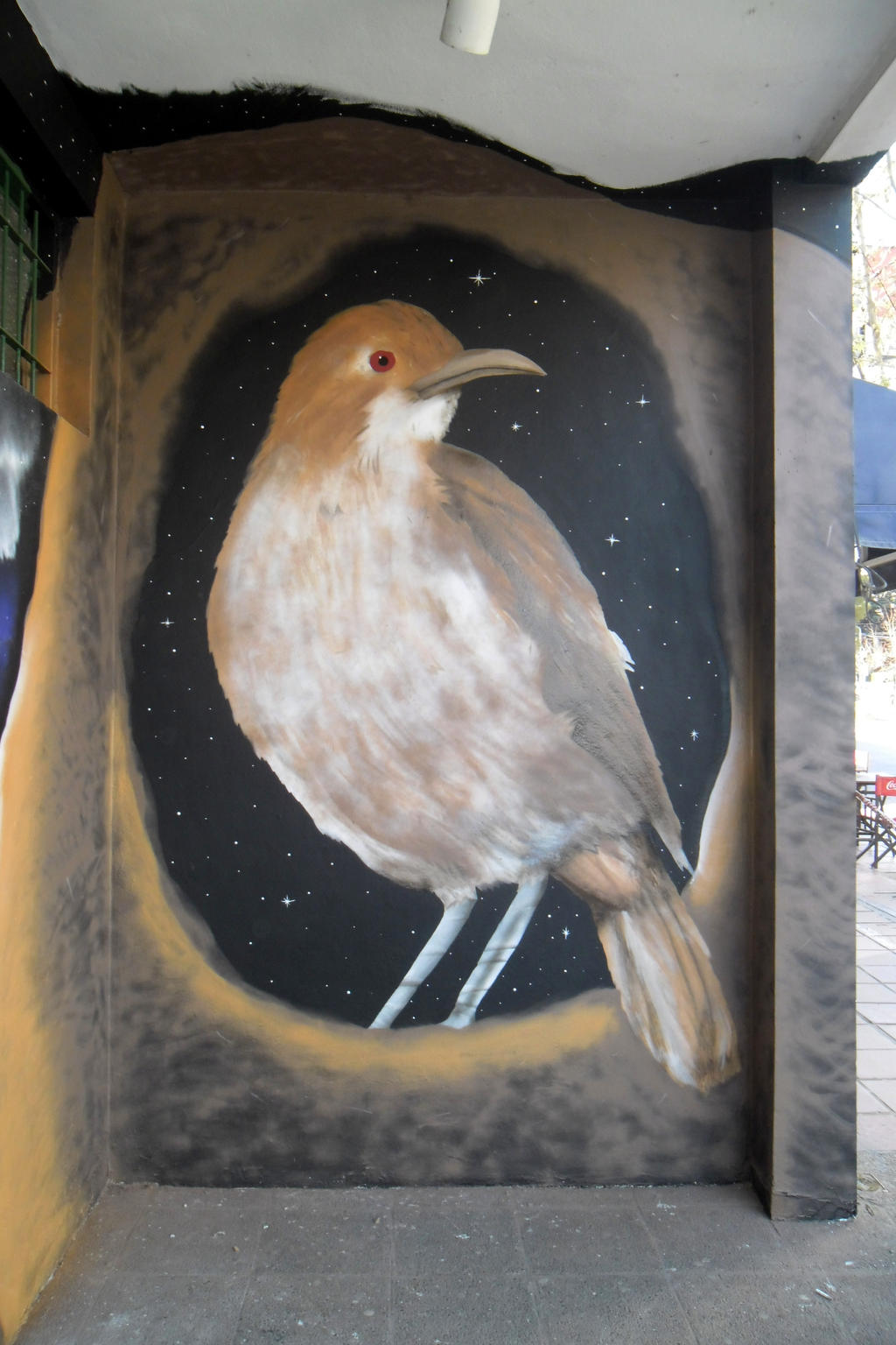 Street Art Bird -Hornero-