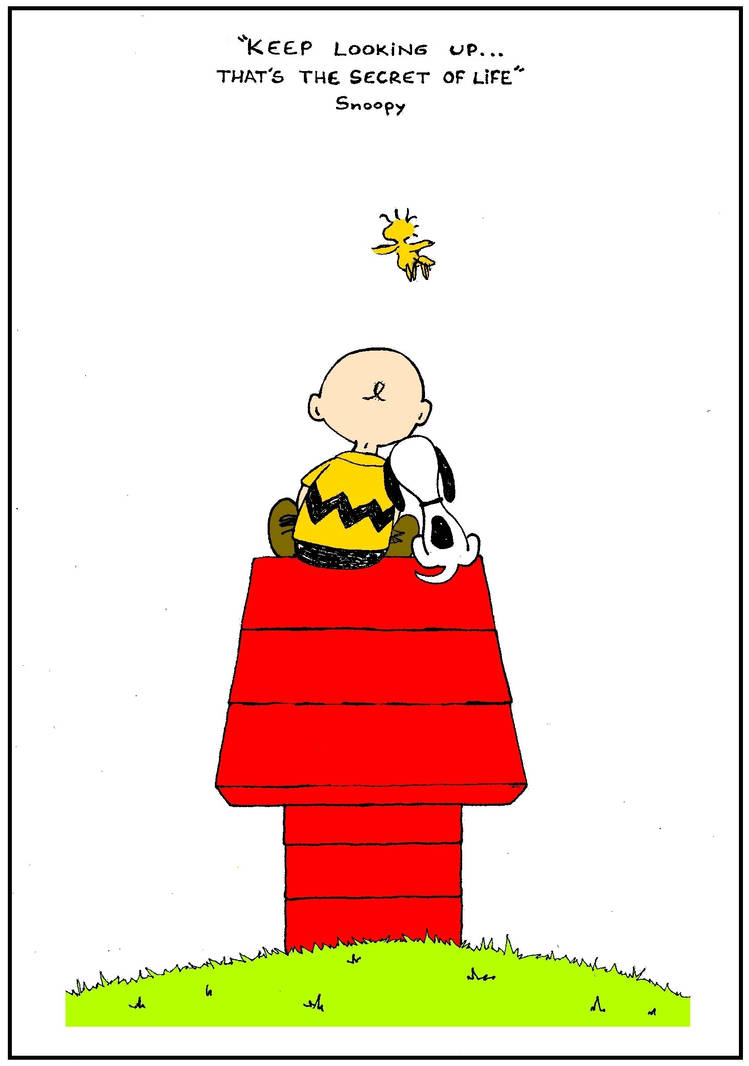 Keep Looking Up That S The Secret Of Life Snoopy By Johnny Aza On Deviantart