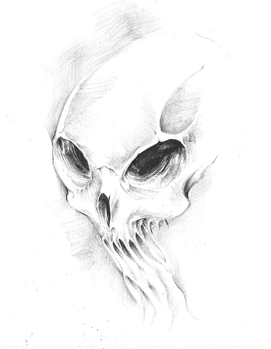 Skull Sketch