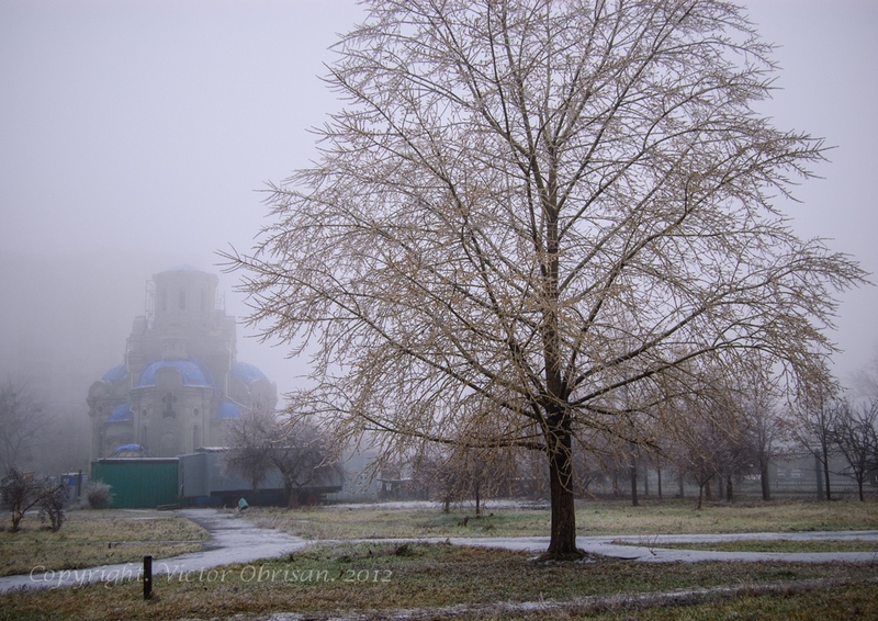 Tree and church