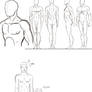 Anatomy - Male sketch
