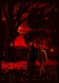 Fireflies in November