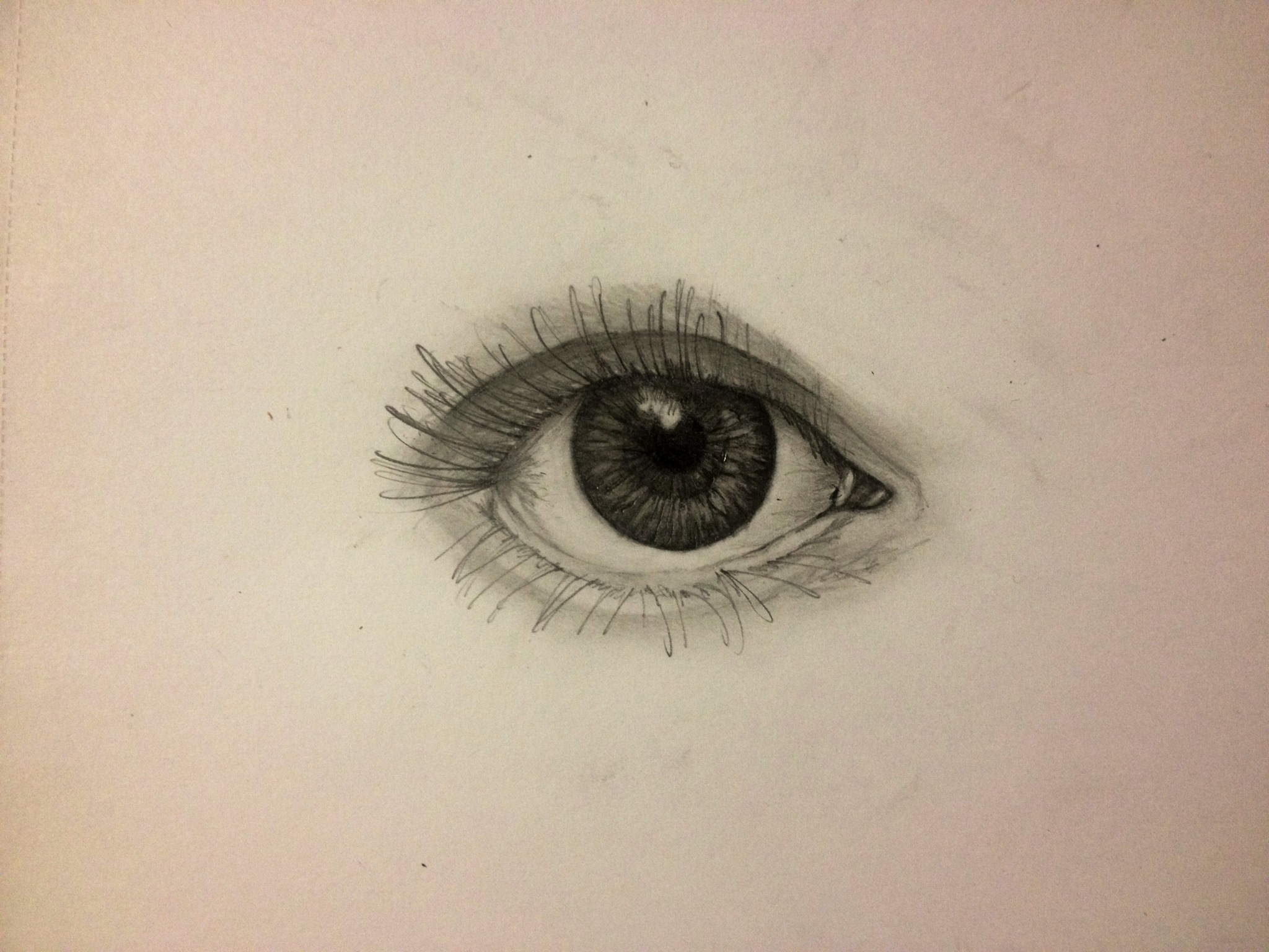 Eye