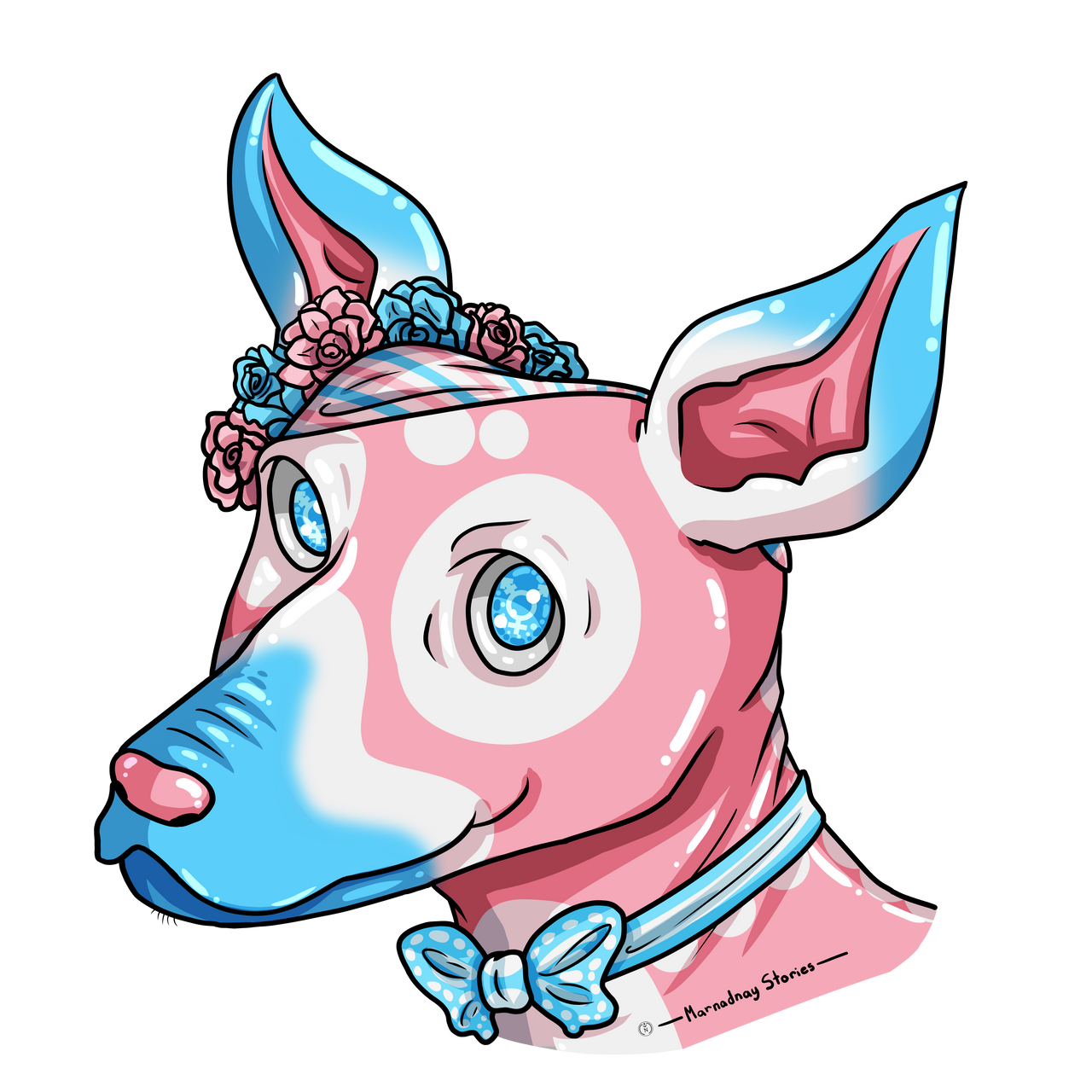 Trans Xolo