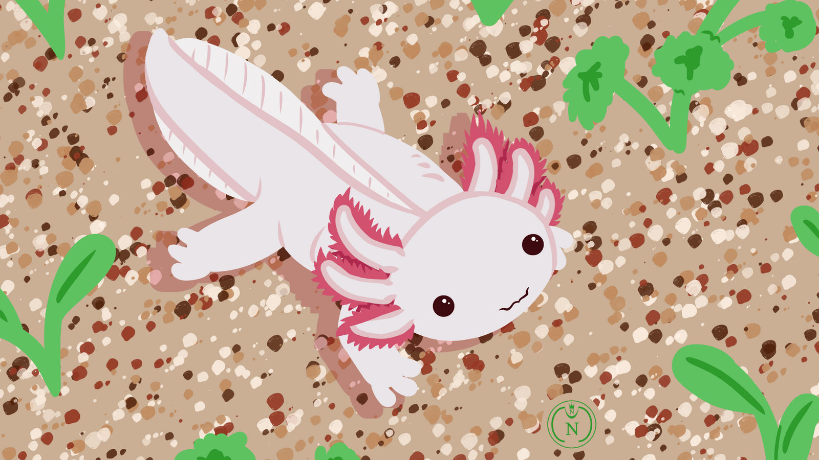BG - Axolotl