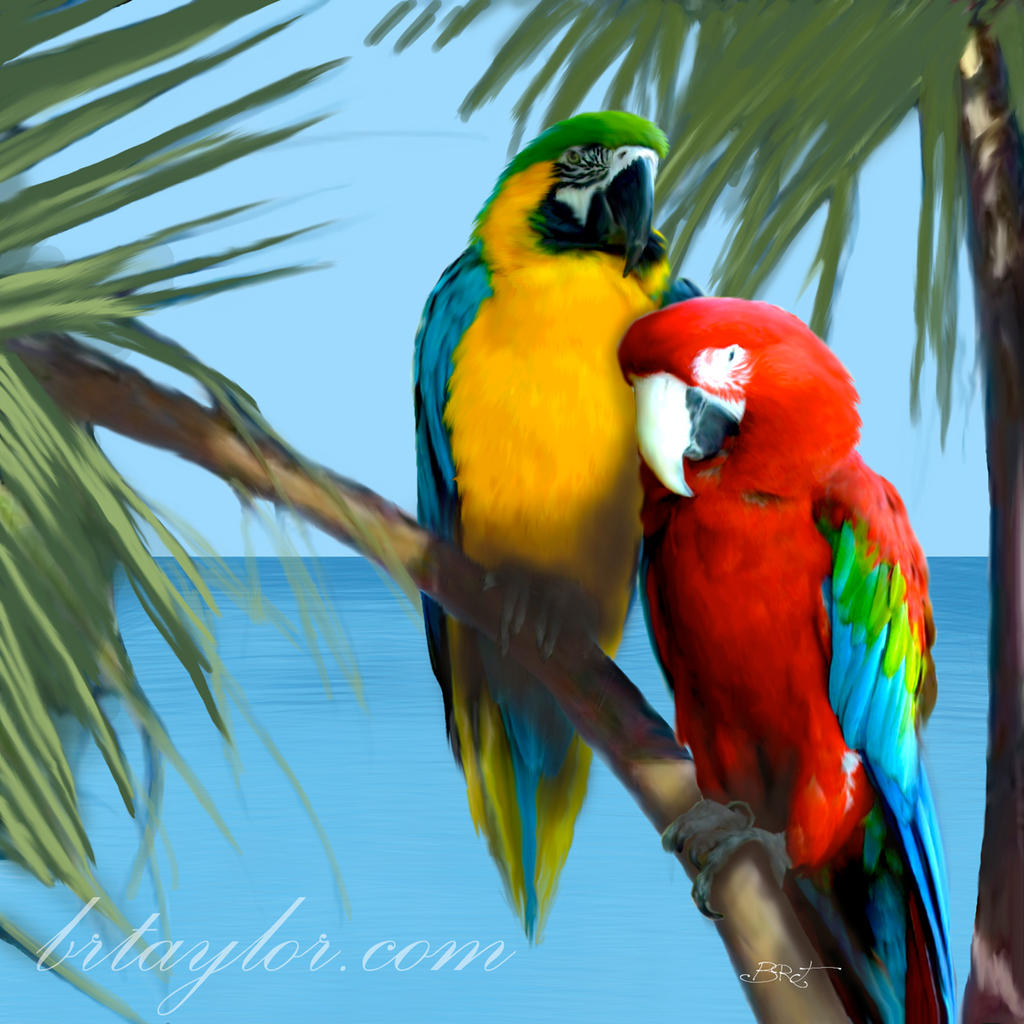 Colorful Parrots