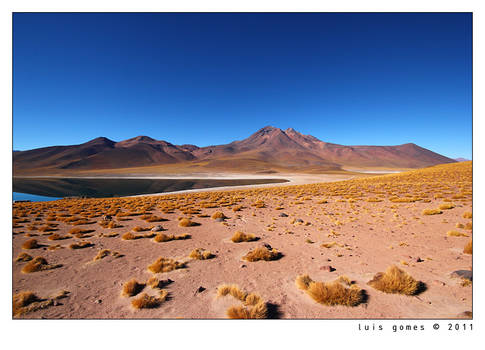 Altiplano lake