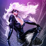 Black Cat