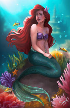 Part of Your World - Little Mermaid