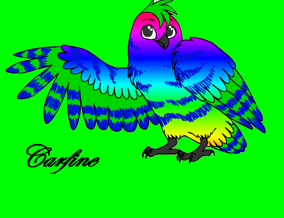 Carfine the owl