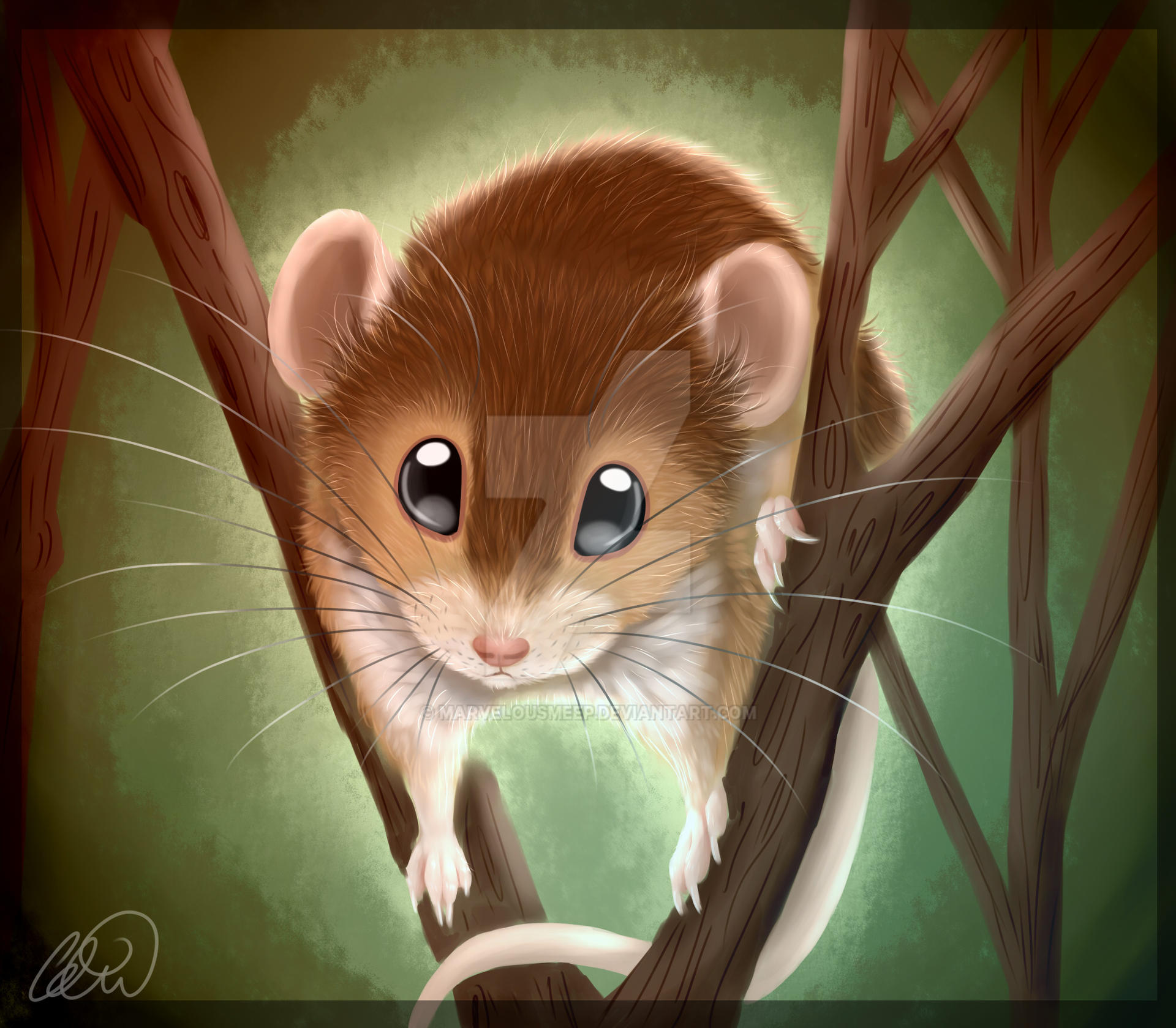 Mouse Deviantart Field mouse by MarvelousMeep on DeviantArt