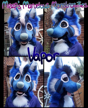 Vapor's Minky Faced Fursuit Head