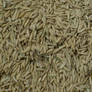 Rice-Arroz Wallpaper