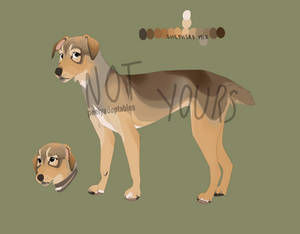 canine adoptable [closed]
