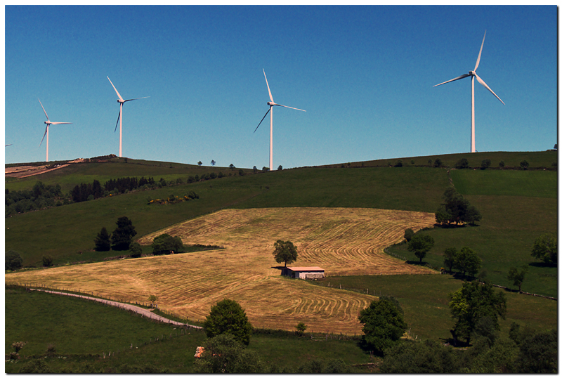 Windmills Of Your Mind