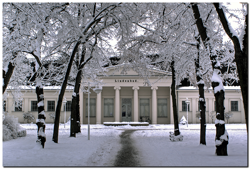 Spa Park In Winter V