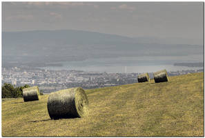 View to Geneva