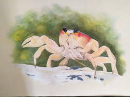 Pencil art crab