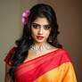 Saree 38