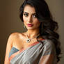 Saree 26