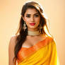 Saree 20