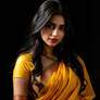Saree 19