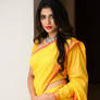 Saree 18