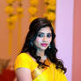 Saree 17