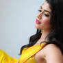 Saree 16