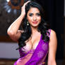 Saree 7