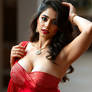 Saree - 4