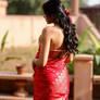 Saree 3