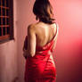 Saree - 2