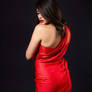 Saree - 1